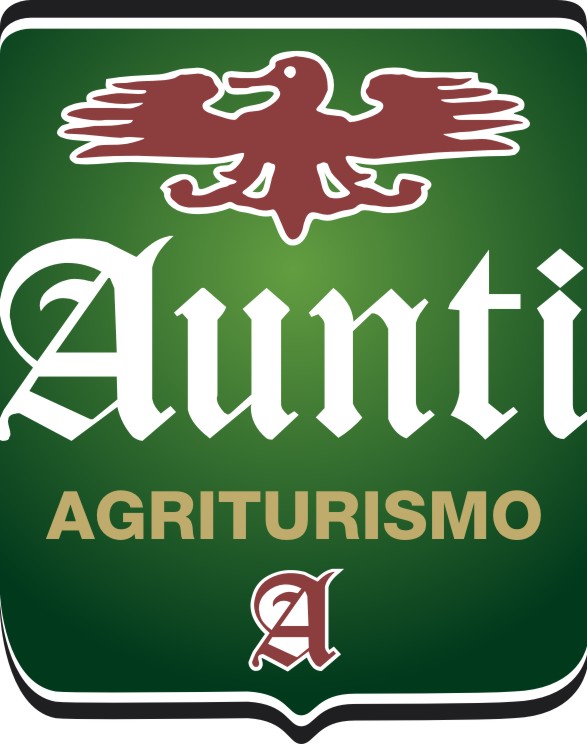 logo aunti